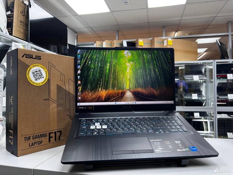 Ноутбук Asus TUF Gaming F17 Core i5-11/ RTX 2050