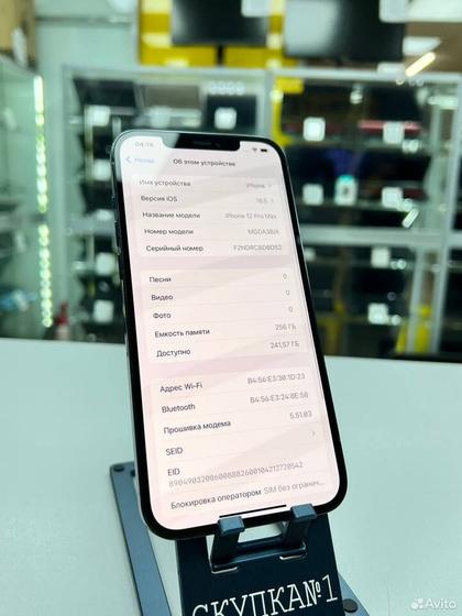 iPhone 12 Pro Max, 256 ГБ, SIM + eSIM